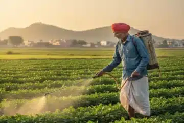 जैव कीटनाशकों की खेती में महत्वपूर्ण भूमिका को जानें। ये पर्यावरण के अनुकूल होते हैं, फसलों को कीटों से सुरक्षित रखते हैं, मिट्टी की उर्वरता बनाए रखते हैं