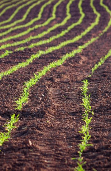 a7e5fb5e5a5de96f4fda5cd621488d9c339ebe8b